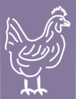 Chicken Art Clip Art